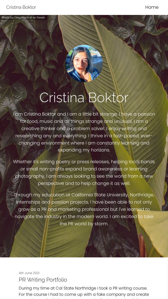 Cristina Boktor Portfolio