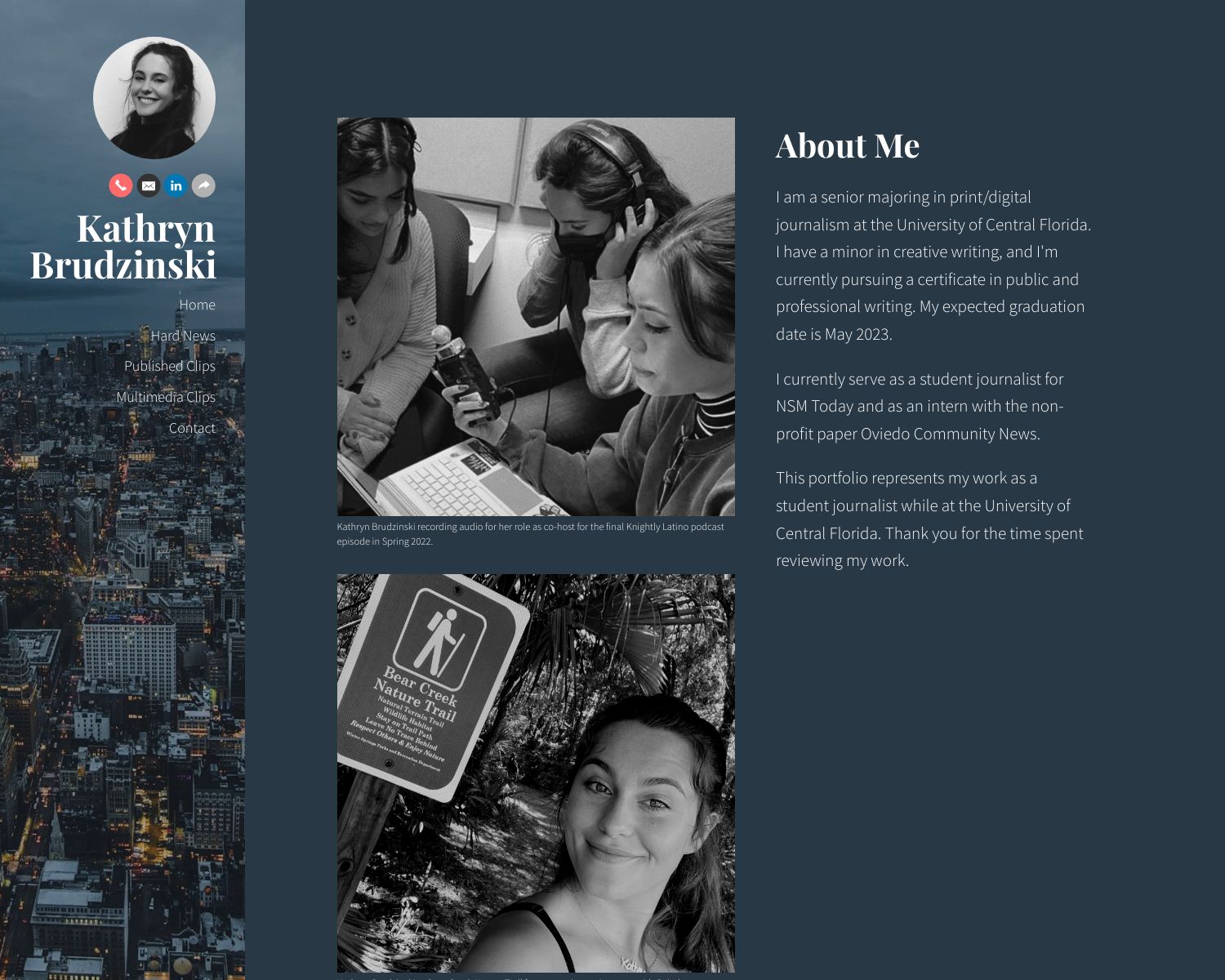 Professional Portfolio Examples Professional Portfolio Graphic