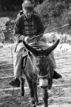 Donkey transportation in Santorini