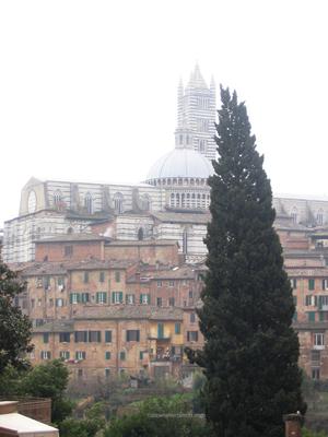 The Basilica of Siena/The Basilica of Siena, Italy