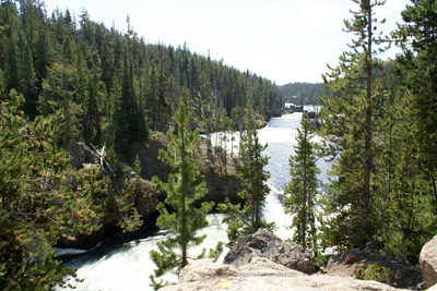 #Yellowstone