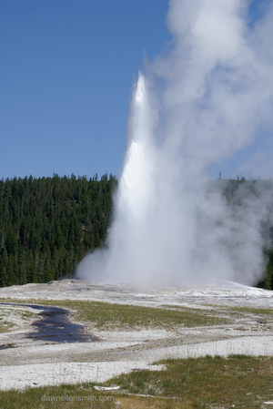 #OldFaithful