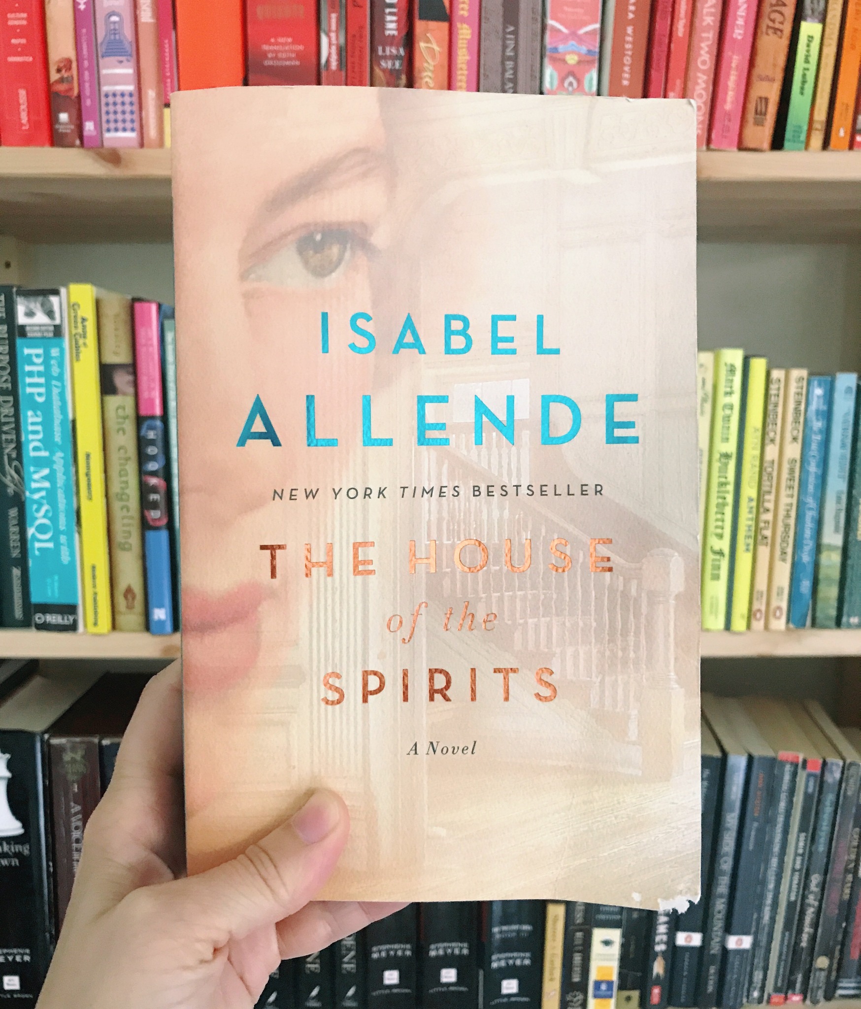 The house of the spirits allende book review