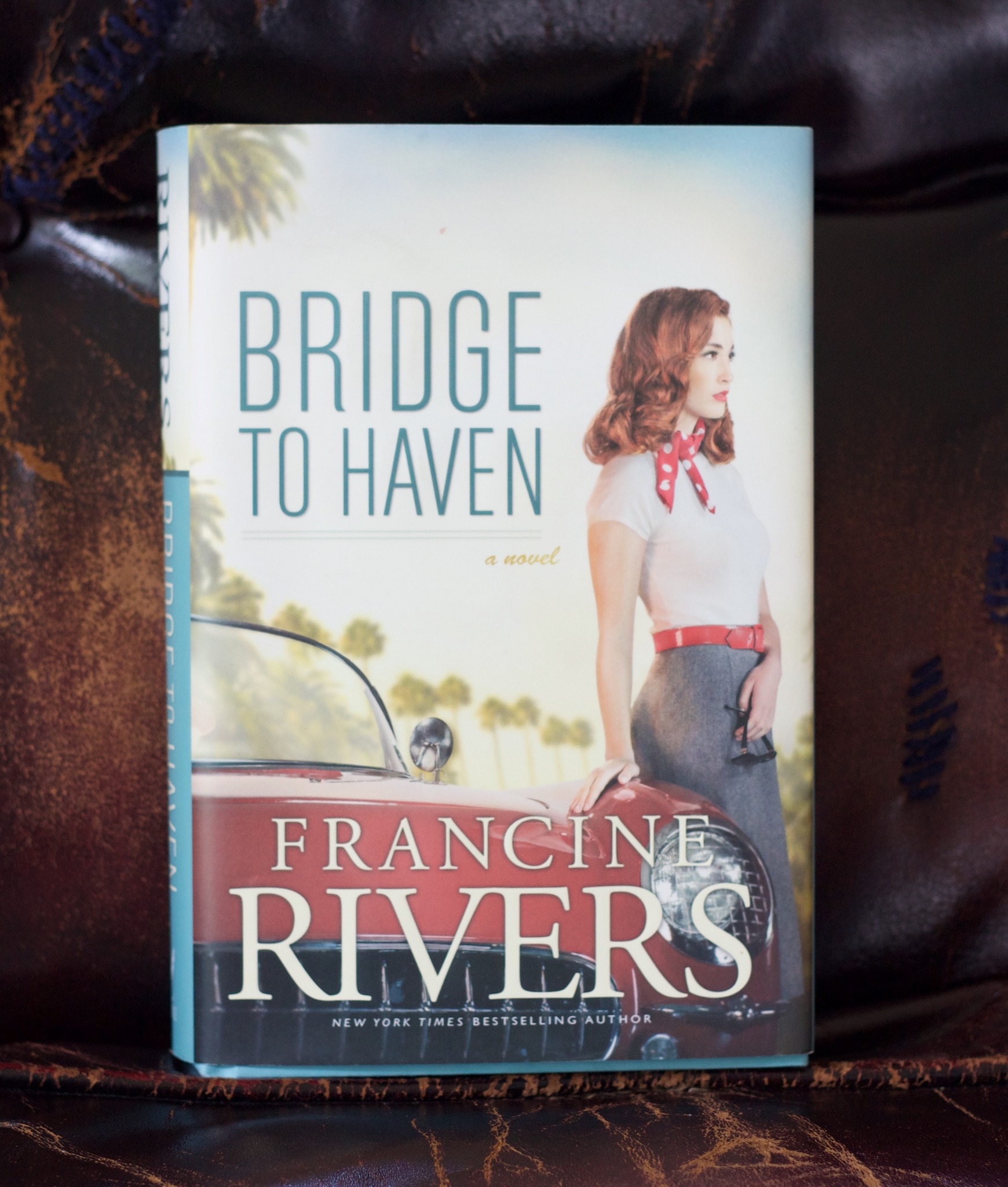 Bridge to Haven by Francine Rivers Book Review