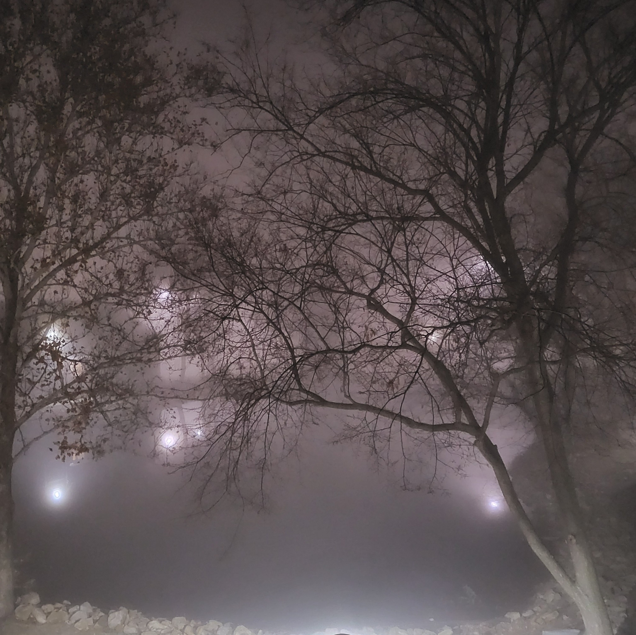 Spirits of the Fog