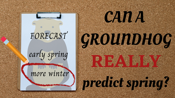 Can a groundhog really predict spring? / Leah Hill