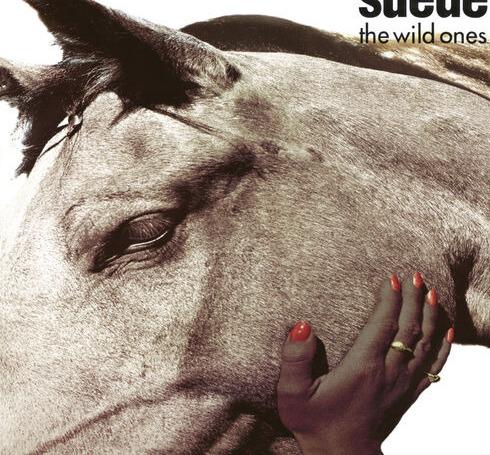 Suede, Wild Ones, Trine Riel