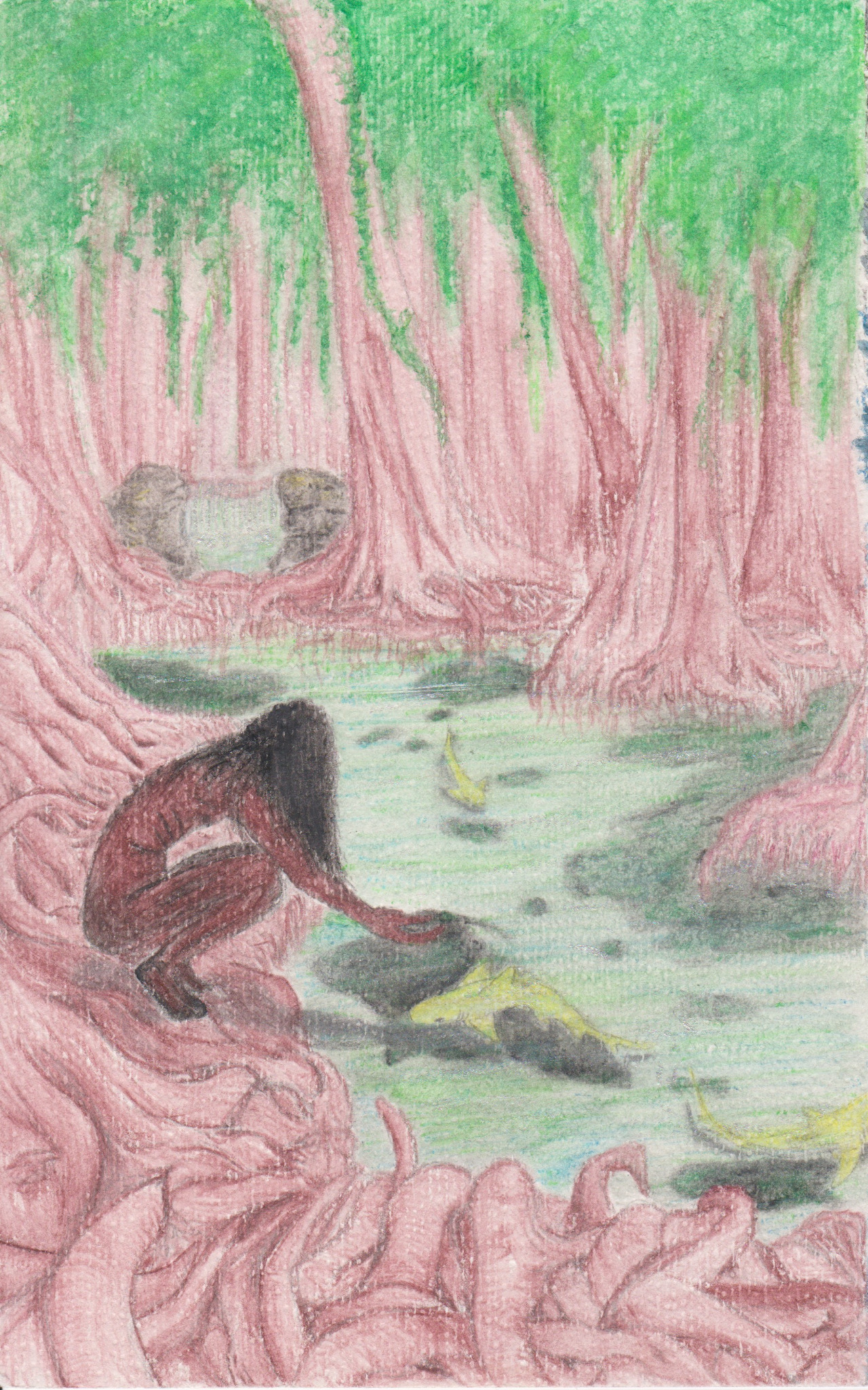 A brown man with black hair crouches at the bank of a mangrove forest extending a hand to a lemon shark pup in the water.