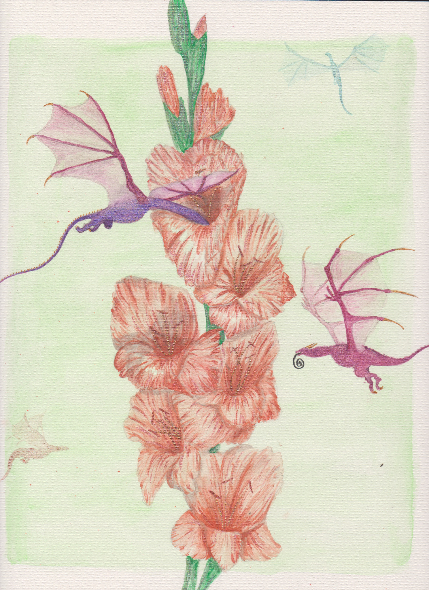 A pair of dragons with insect-like proboscis tongues dip their heads in the peachy flowers of a gladiolus.