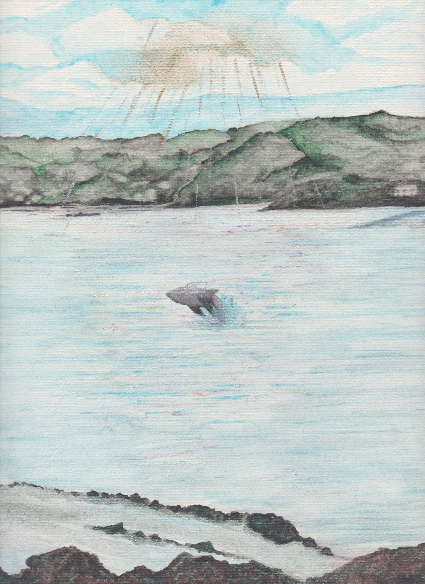 A basking shark leaps out of the Morecambe Bay sea under the glittering light of the sun, backgrounded by a seaside town built on a hillside.