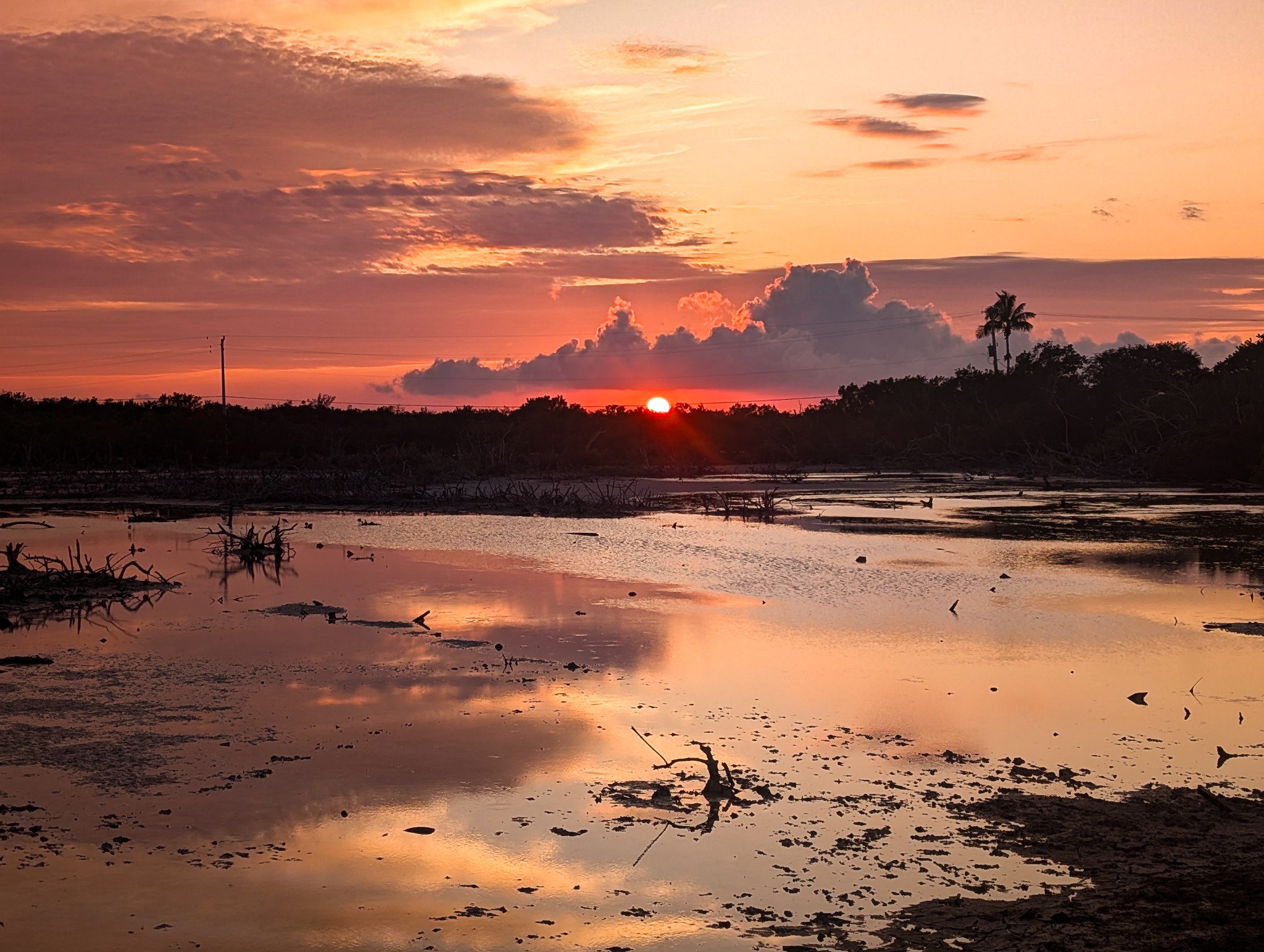 sun setting over a swamp sun setting over a swamp