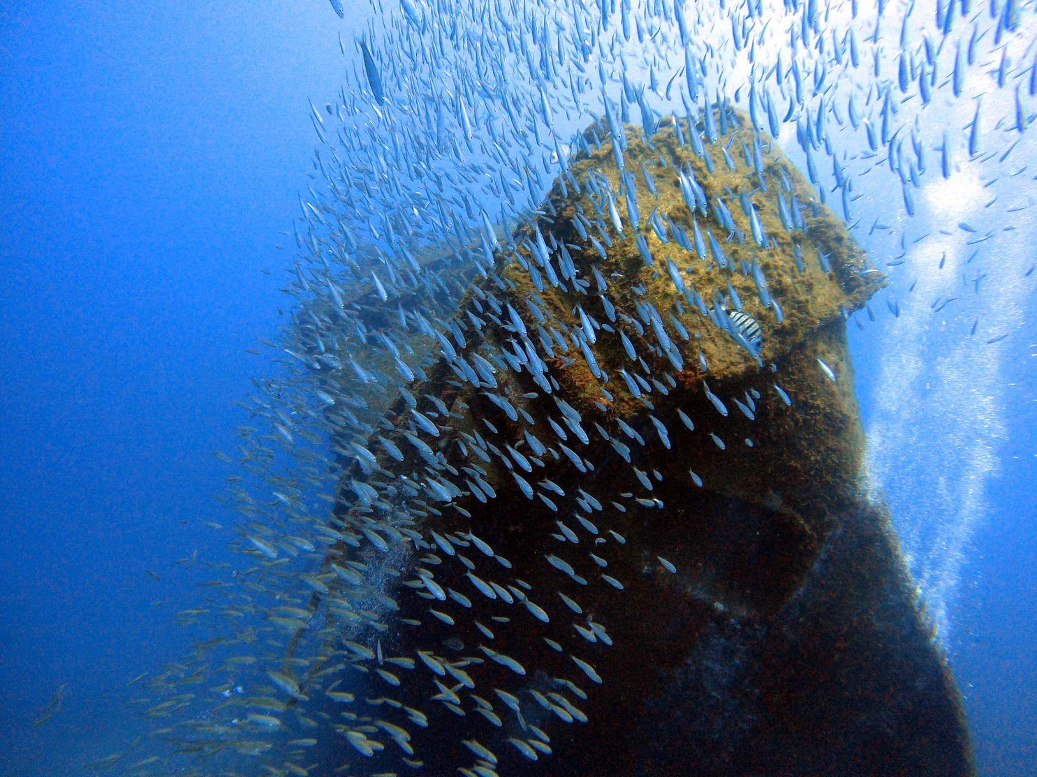 Tabaiba wreck dive Tabaiba wreck dive
