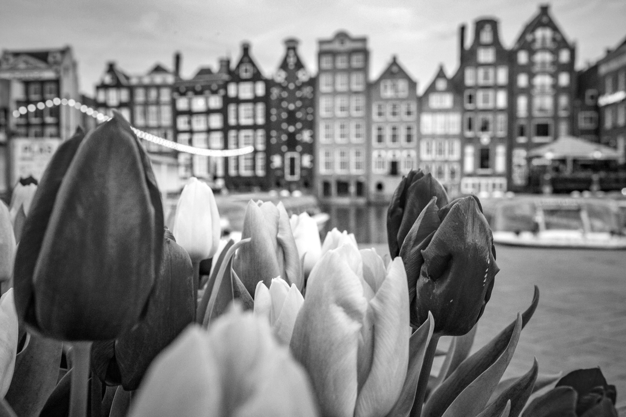Decorative image of Amsterdam used on landing page.