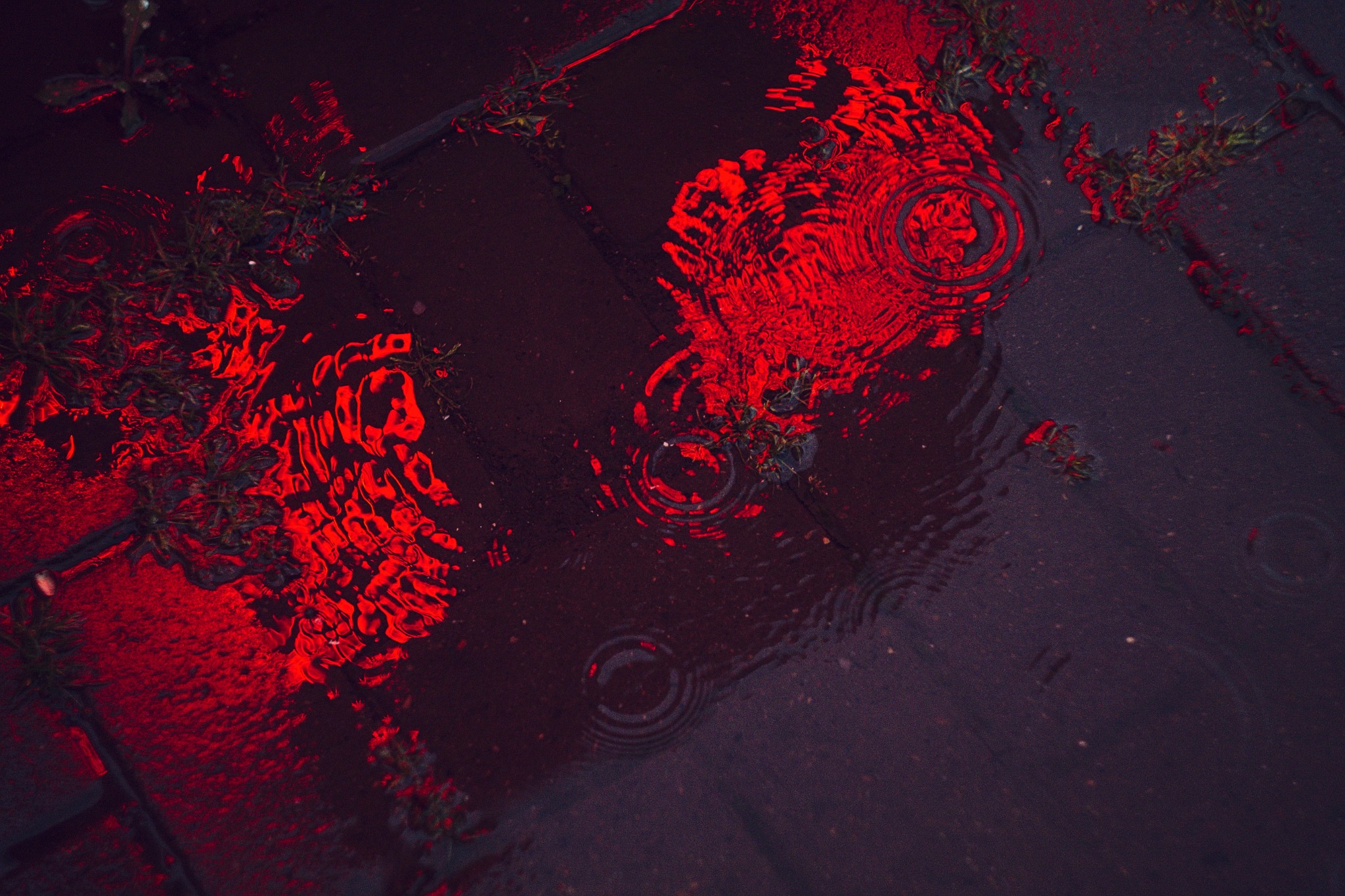 Link to Insights page represented by water surface image.