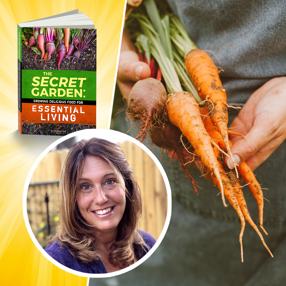 the instant box garden miracle book reviews