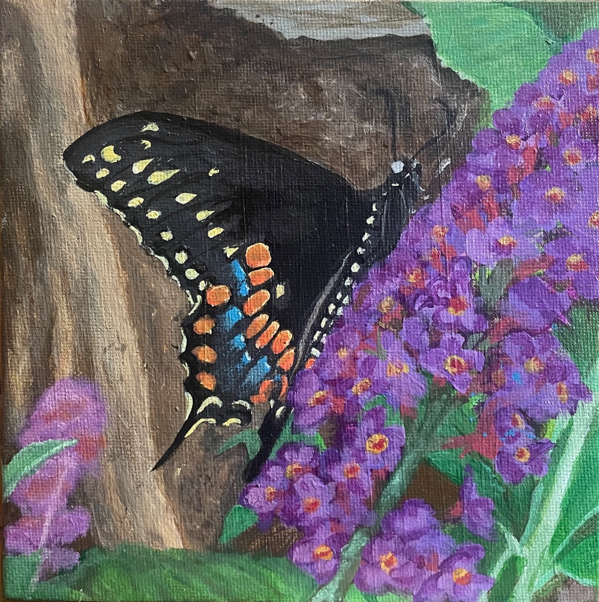 Butterfly/Bush