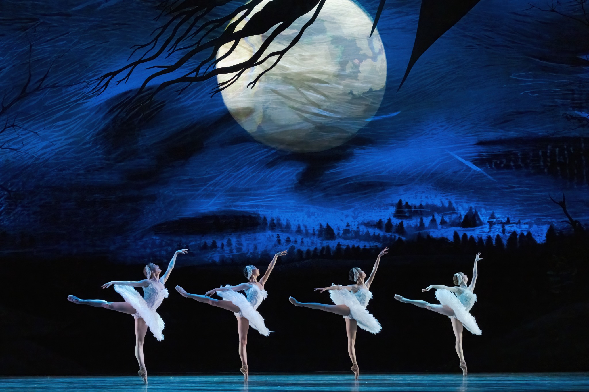 Artists of the Ballet in Swan Lake. Photo by Karolina Kuras.