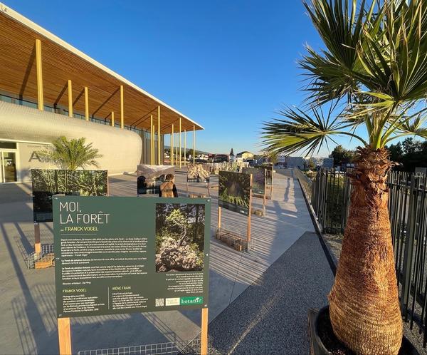 Exposition Moi, la Forêt / Botanic