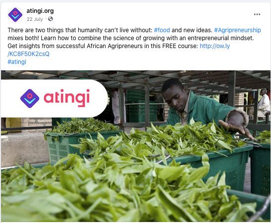 Social Media Posts Copywriting | atingi