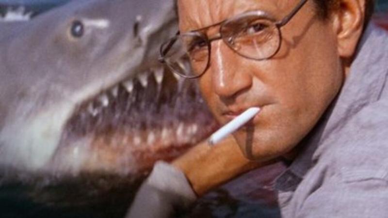 Chief Brody in Jaws (1975) – Filmotomy