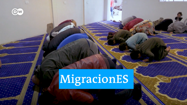 migraciones dw trailer