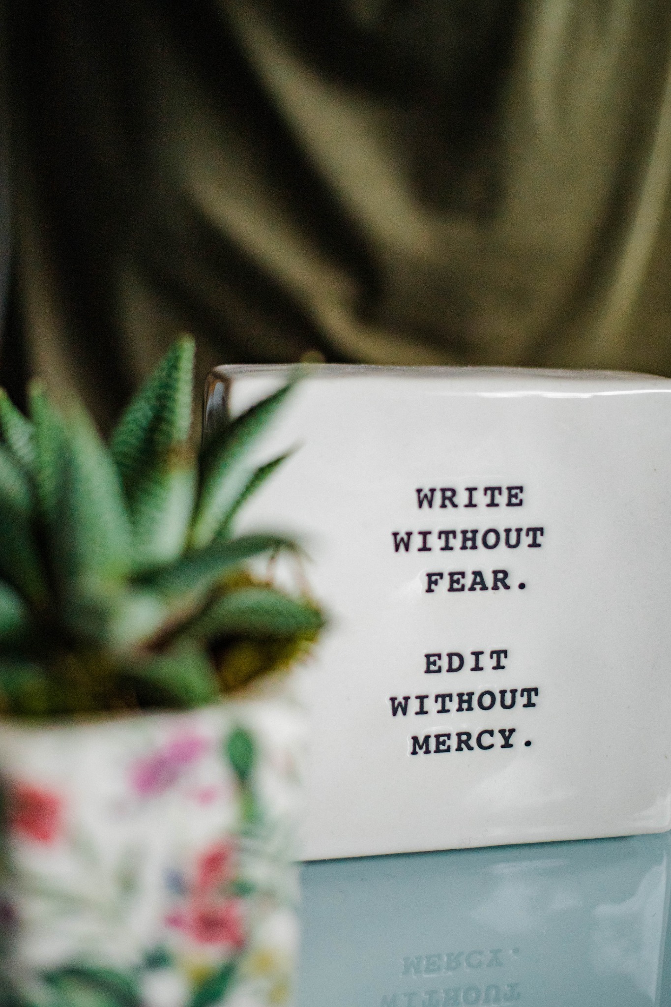 A white box with the words 'Write without fear, edit without mercy' and a small potted cactus