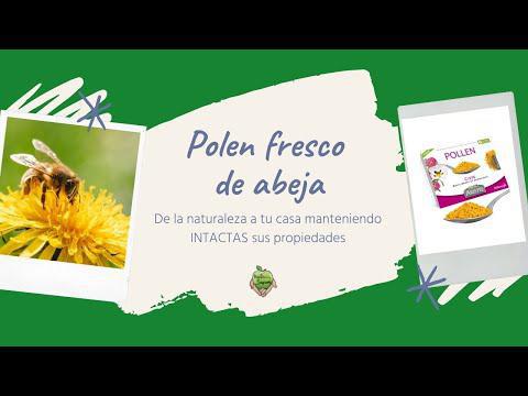 Diseño, creación y locución de vídeo para Youtube