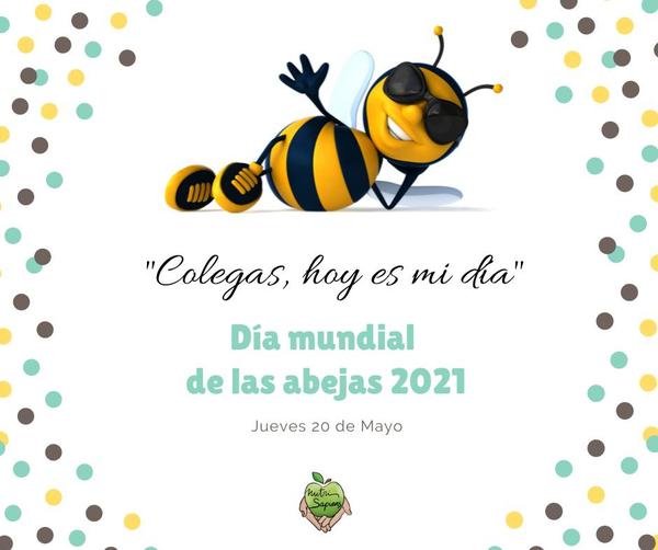 Post para Instagram de nutrisapiens sobre el día mundial de las abejas