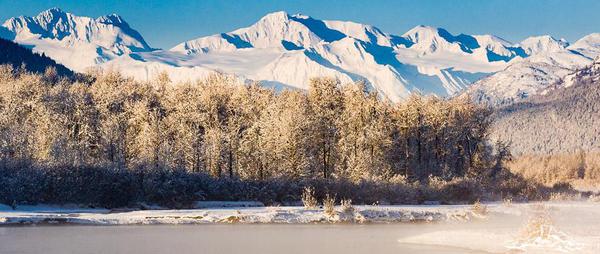 Upper Chilkat River in winter with snow-capped mountains and hoar frost-covered trees in the background