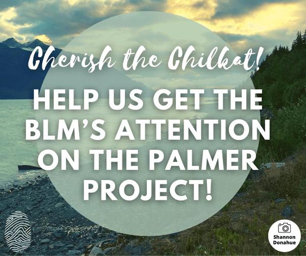 Chilkat River Estuary with text that reads "Cherish the Chilkat! Help us get the BLM's attention on the Palmer Project!"