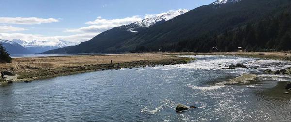 The mouth of the Chilkat River in spring, as the saak (eulachon) run begins The mouth of the Chilkat River in spring, as the saak (eulachon) run begins