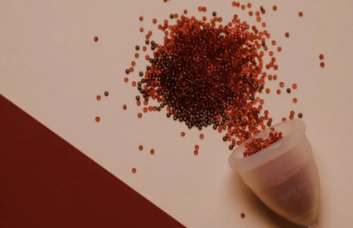 Menstrual Cup Menstrual Cup