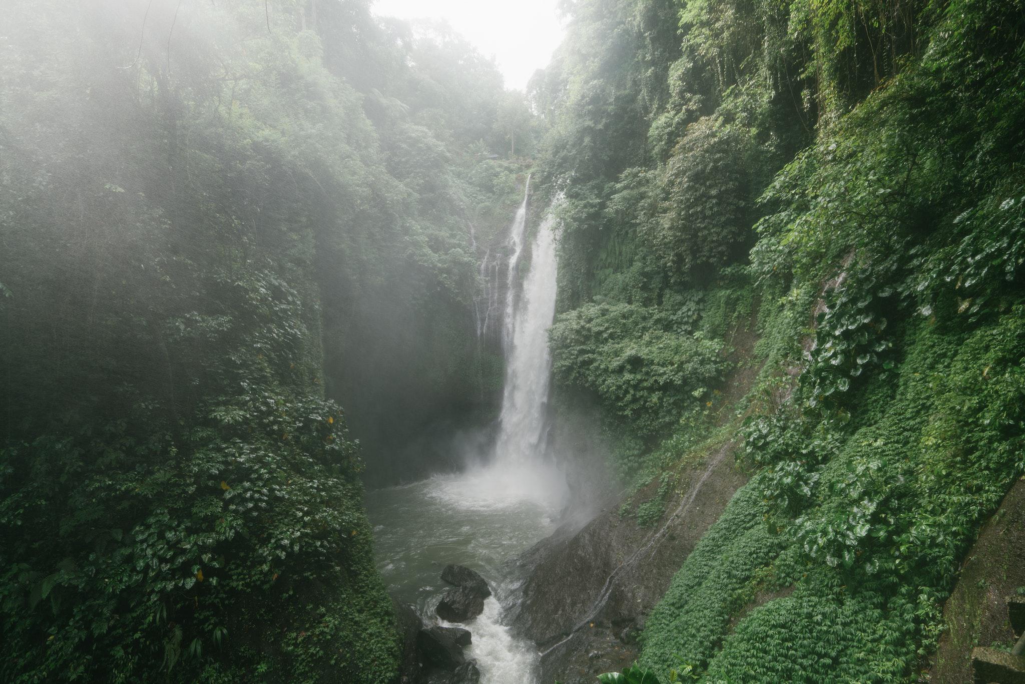 Forest and waterfall nature picture Forest and waterfall nature picture