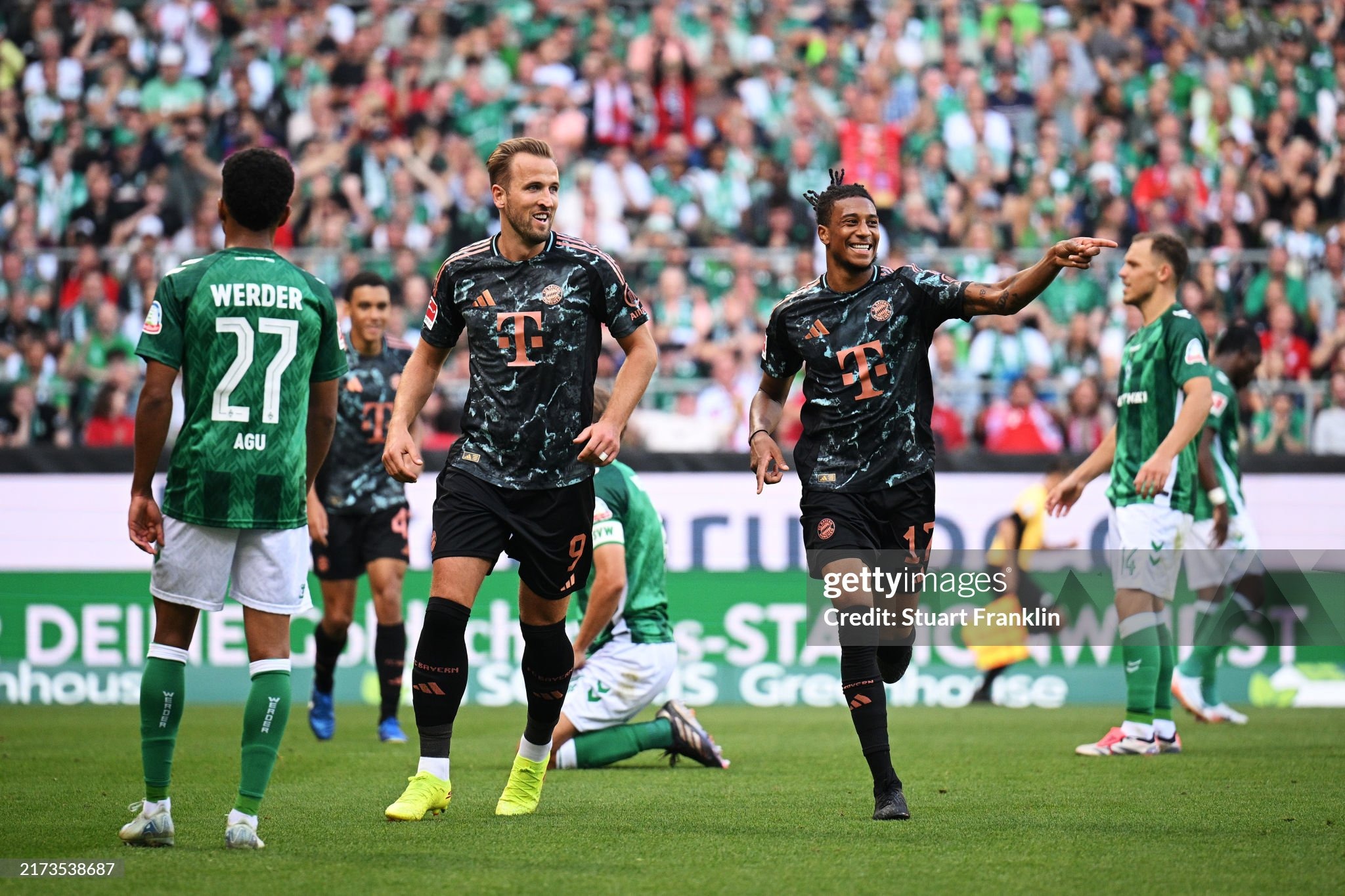BREMEN, GERMANY - SEPTEMBER 21: Michael Olise of Bayern Munich celebrates scoring his team's fourth goal during the Bundesliga match between SV Werder Bremen and FC Bayern München at Weserstadion on September 21, 2024 in Bremen, Germany. (Photo by Stuart Franklin/Getty Images)