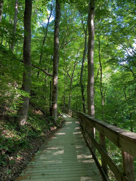 Mammoth Cave National Park pathway in woods