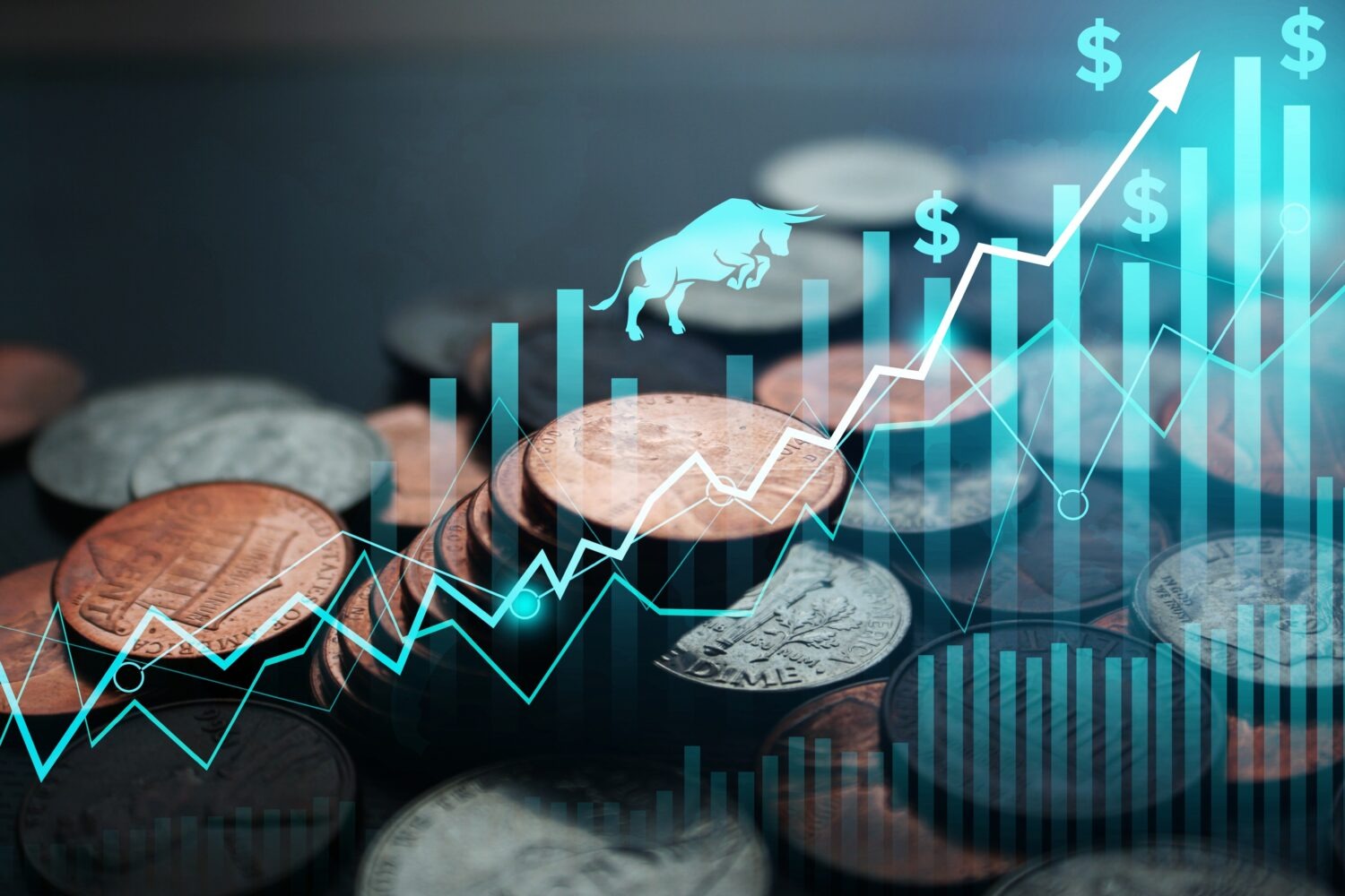 Crypto bull run Crypto bull run