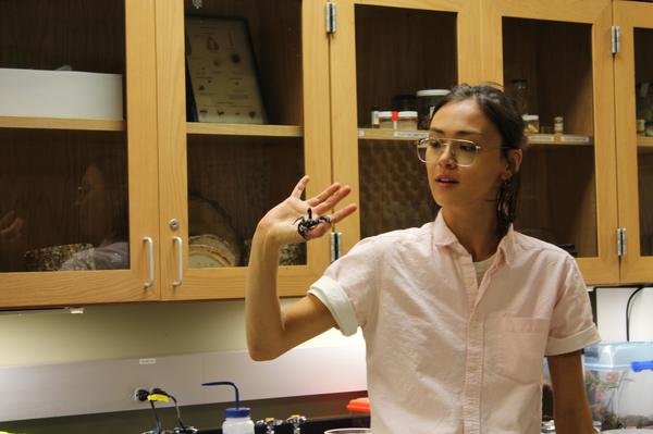 Bug Club President Audrey Chun Fahland holds a scorpion