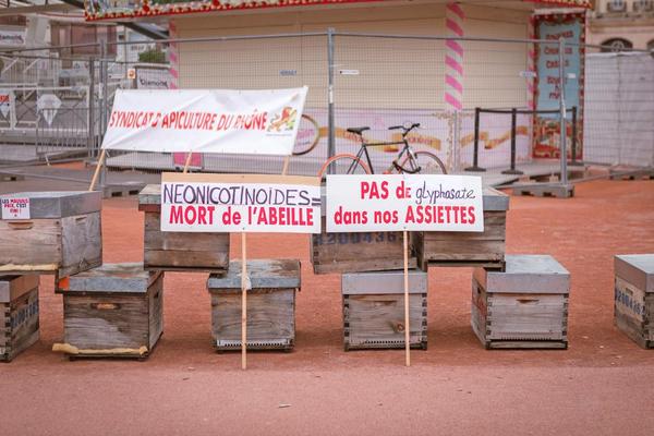 Ruches déposées sur la place Bellecour, à Lyon, lors d'une manifestation menée par des apiculteurs le 5 février 2024.