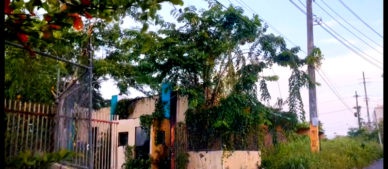 Las Ruinas de Rio Piedras ( Rio Piedras Ruins )