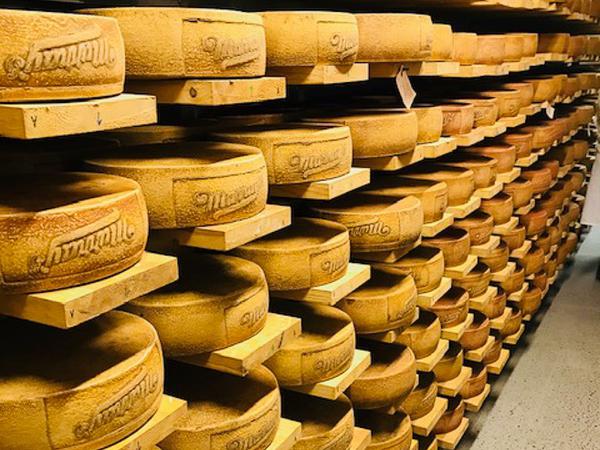 Rounds of cheese aging at Murray's Cheese Caves