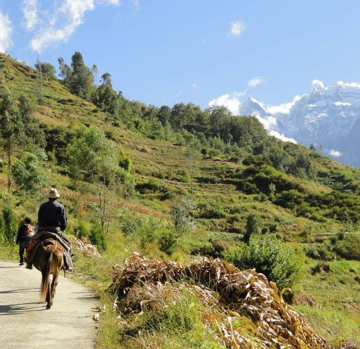 China - Man on horse