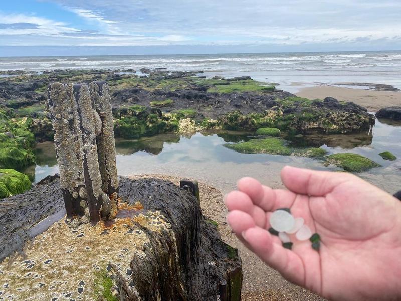 A hand holding sea glass fragments
