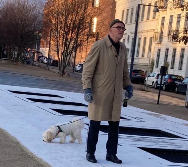 Hund med mand på Gammelholm