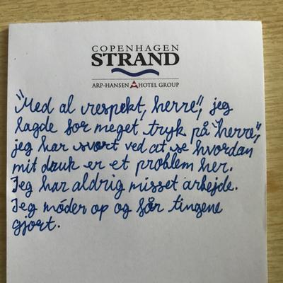 Udpluk af oversættelse fra romanen Druk