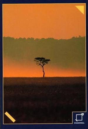 Tambores de África, traducida por Sara Høyrup