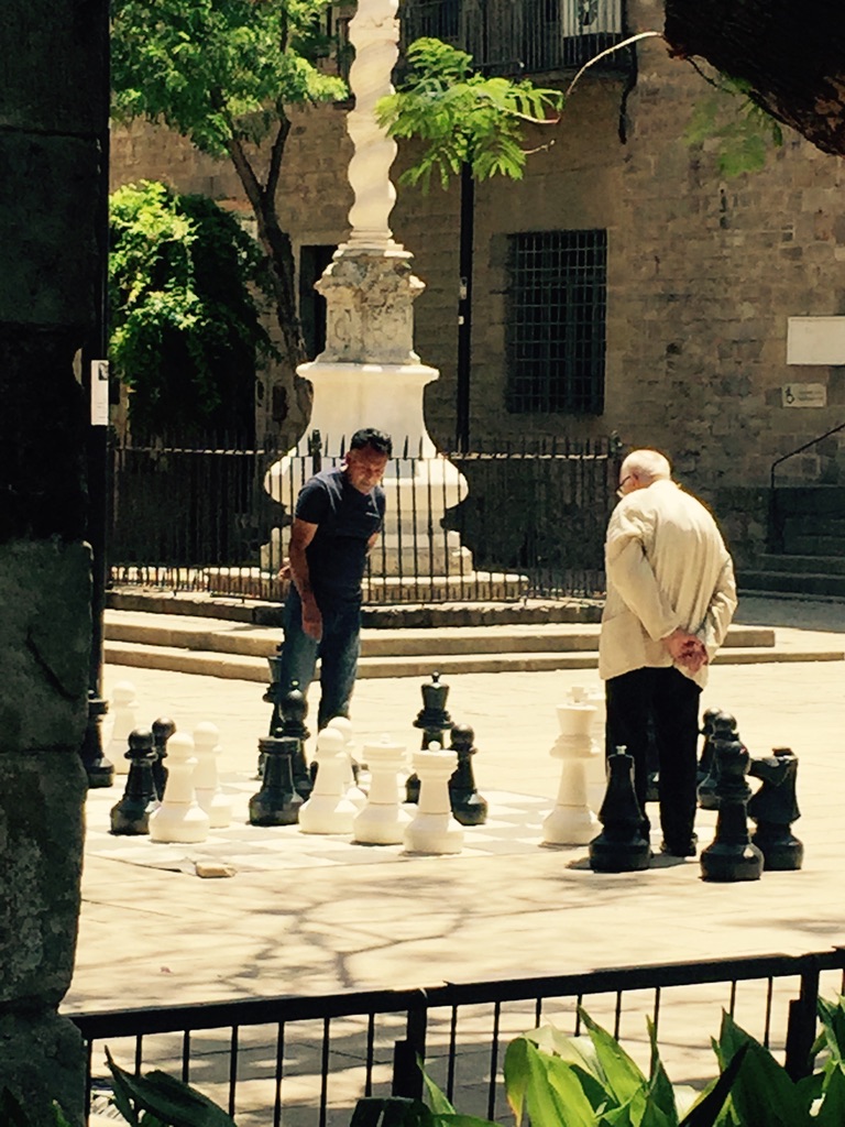 chess chess