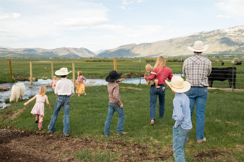 Hannah and her family walk away from the camera, toward a backdrop of mountains, grass, and cows