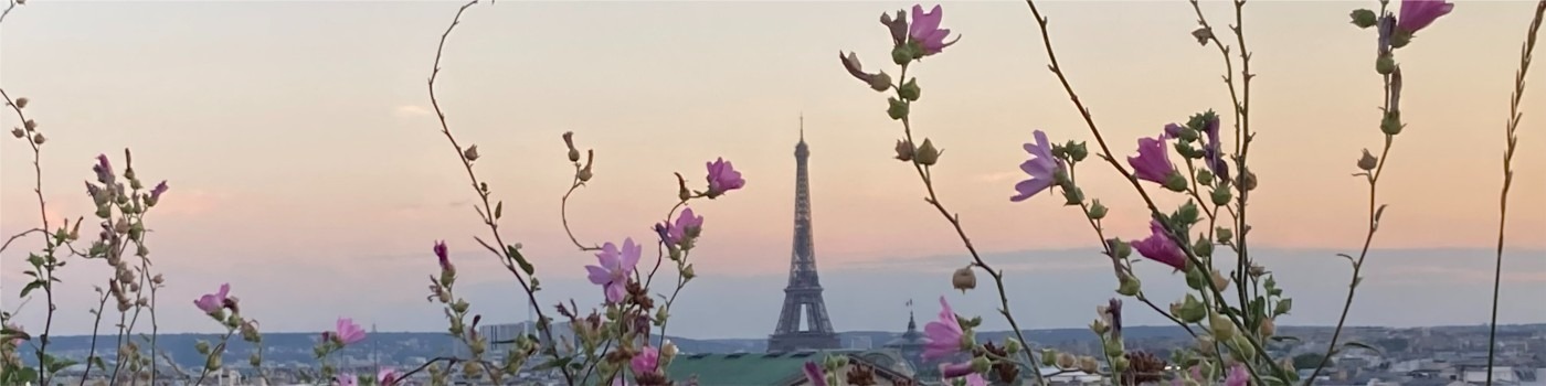 Eiffel Tower as viewed from a Paris rooftop