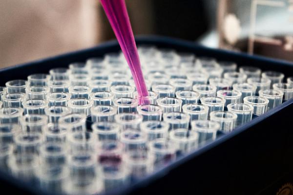 Pipetting liquid reagents into PCR tubes during real-time PCR sample preparation in a molecular biology lab Pipetting liquid reagents into PCR tubes during real-time PCR sample preparation in a molecular biology lab