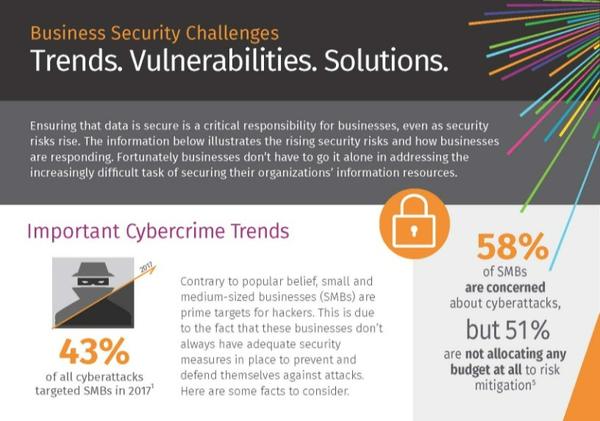 Important Cybercrime Trends Infographic